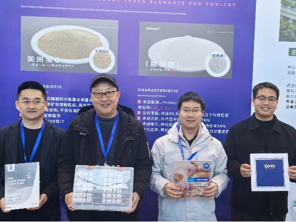 CHELOTAhjcƽǹ⼦ҵ̳