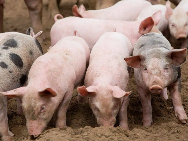 ＾ҪעʲôƺҪһҪĵ