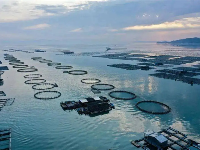 л΢Ԫǻпص㼰ˮϵӦ