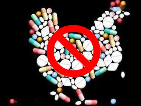 ϲǲΰ룻Żƽ