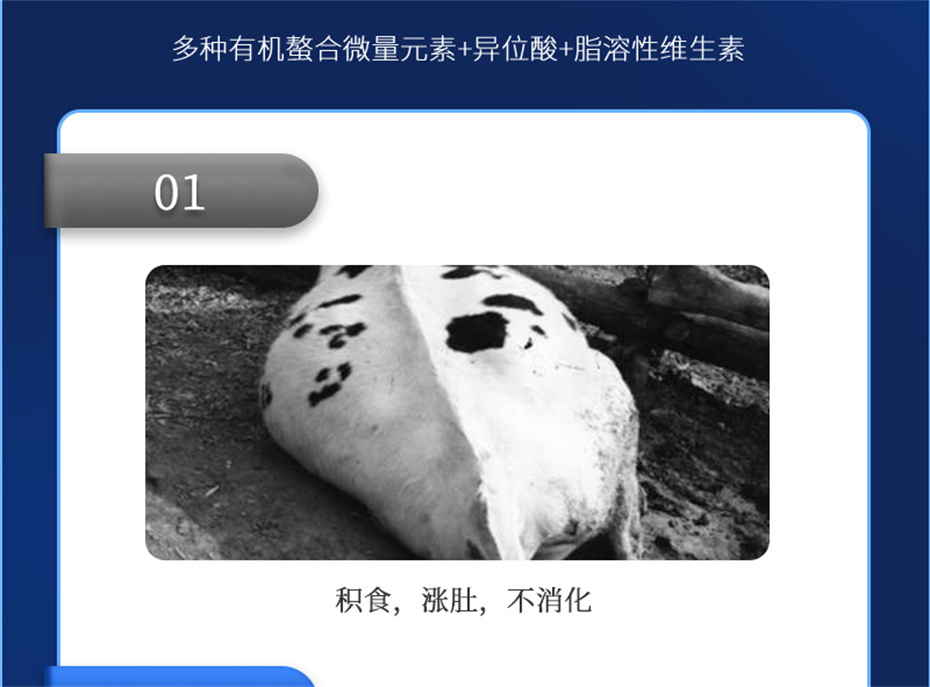 hjcƽǹţӼţ׳챦Ʒ