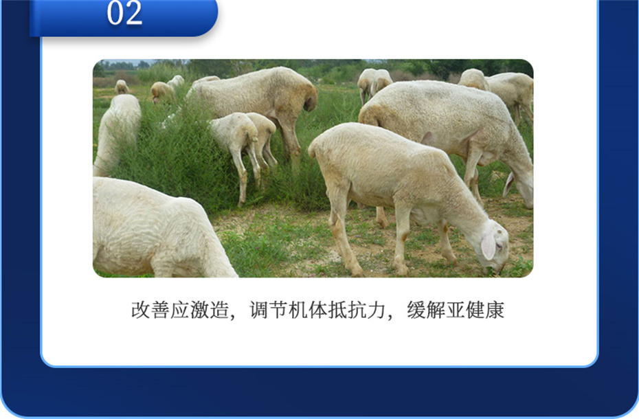 hjcƽǹţӼţ׳챦Ʒ