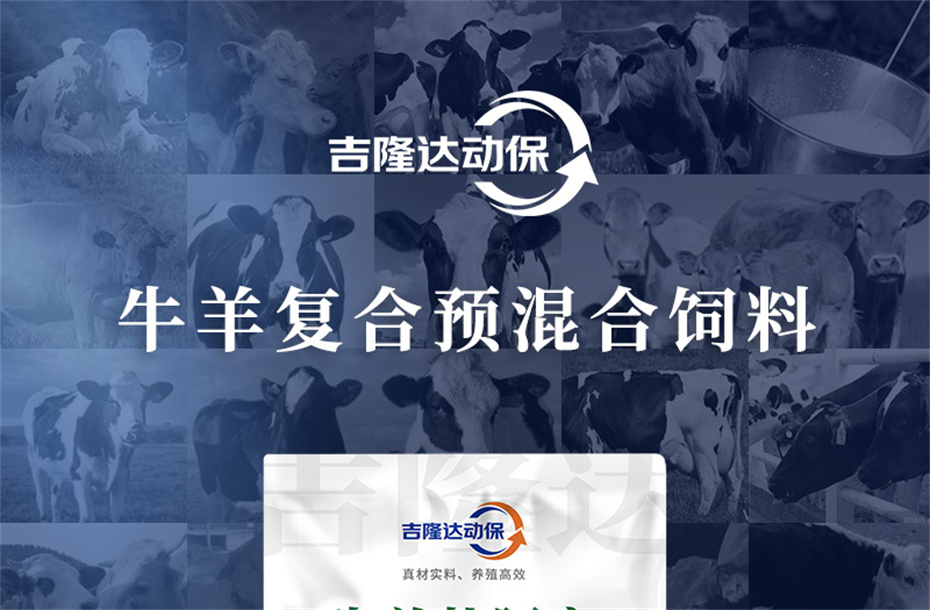 hjcƽǹţӼţ׳챦Ʒ