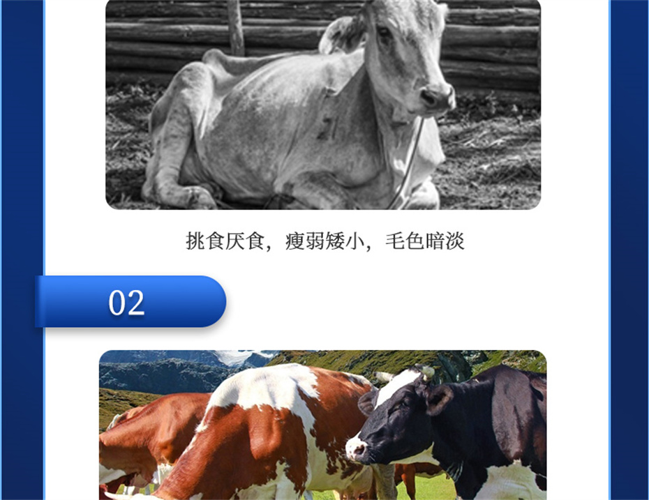 hjcƽǹţӼţ׳챦Ʒ