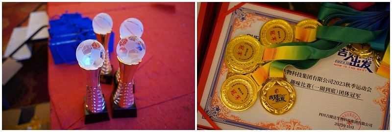 hjcƽǹ2023＾˶26곧Ƭ