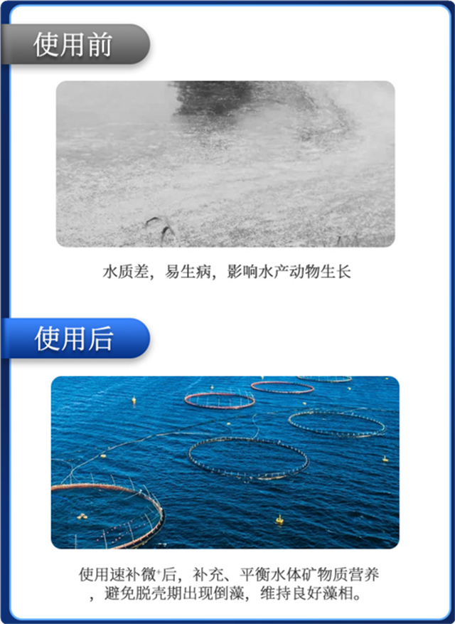 hjcƽǹл΢Ԫٲ΢+ϺЧ