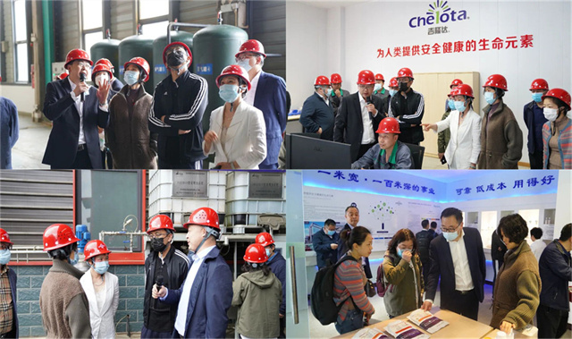 ͨɷݴιhjcƽǹл΢Ԫع