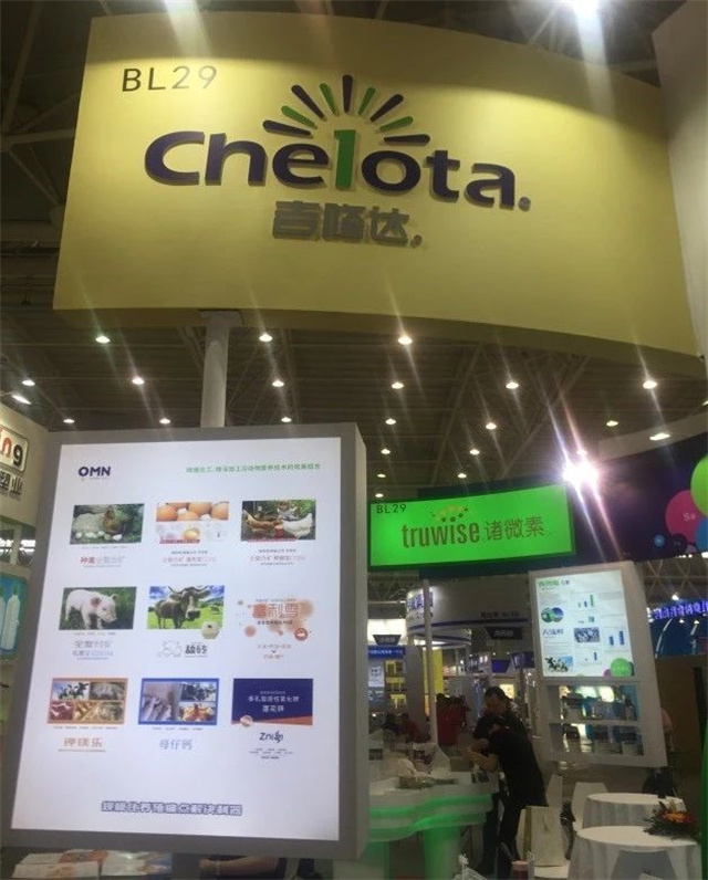 Ð󲩻áhjc»Æ½ð³Ç¹ÙÍøÕ¹Çø Ð󲩻áhjc»Æ½ð³Ç¹ÙÍøÕ¹Çø