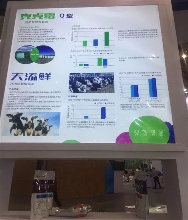 Ð󲩻áhjc»Æ½ð³Ç¹ÙÍøÕ¹Çø Ð󲩻áhjc»Æ½ð³Ç¹ÙÍøÕ¹Çø