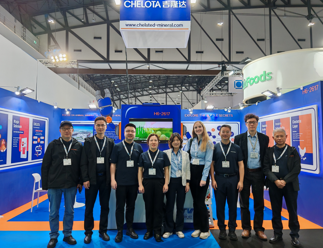 ̩ˣCHELOTAhjcƽǹVIVޣ̩ʼԼչ